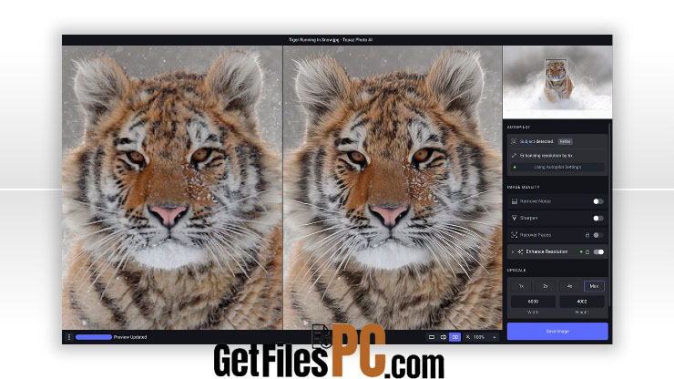 Topaz Photo AI for MacOS 2 Free Download - GetFilesPC.com