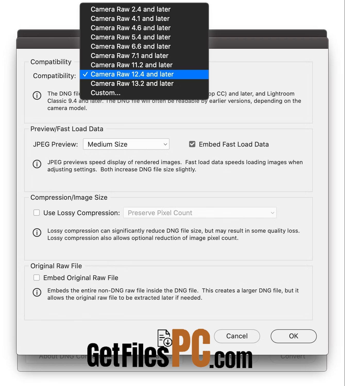 adobe dng converter 2 1 Free Download - GetFilesPC.com