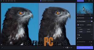 topaz photo ai 2 Free Download - GetFilesPC.com