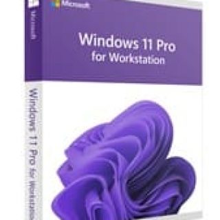windows 11 with office 2019 pro plus logo Free Download - GetFilesPC.com